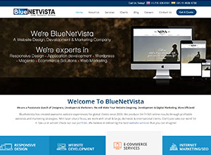 Blue Net Vista